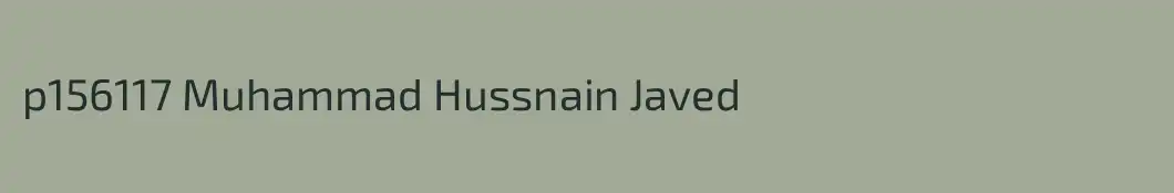 p156117 Muhammad Hussnain Javed